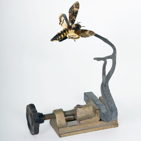 taxidermy-by-idiots-58.jpg