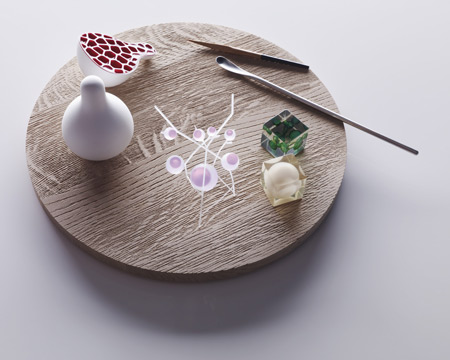 food-probe-by-philips-design-19.jpg