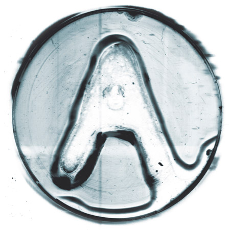 dzn_SYMBIOSIS_research_08 dzn_SYMBIOSIS_research_08