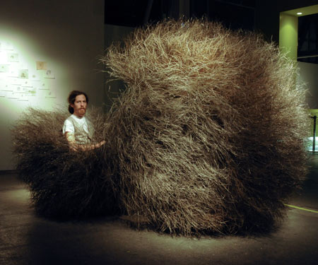 Bush of Iron by Nacho Carbonell