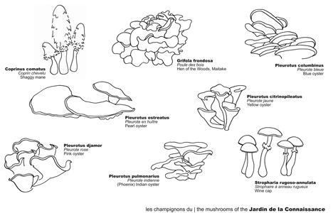 Jardin de la Connaissance by Rodney LaTourelle and 100 Landschaftsarchitektur Jardin de la Connaissance by Rodney LaTourelle and 100 Landschaftsarchitektur