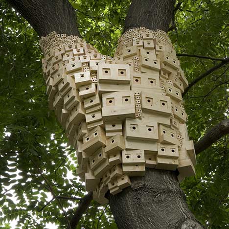 Spontaneous City in the ree of heaven