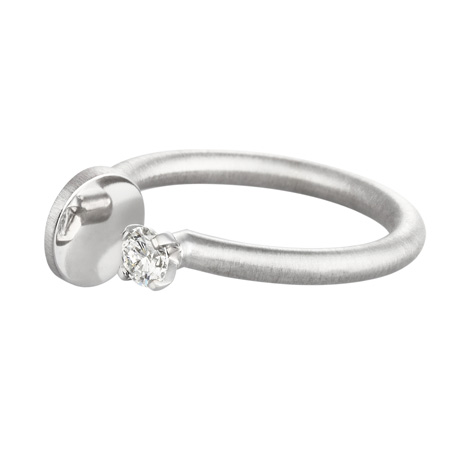 Rings by Nicolas Le Moigne and A E Kochert