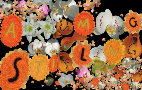 Stefan Sagmeister at Vienna Design Week Stefan Sagmeister at Vienna Design Week