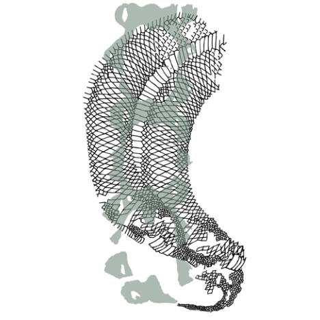 Snake&Molting legwear by Camille Cortet Snake&Molting legwear by Camille Cortet