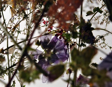 The Fragility of Time by Ignacio Canales Aracil The Fragility of Time by Ignacio Canales Aracil