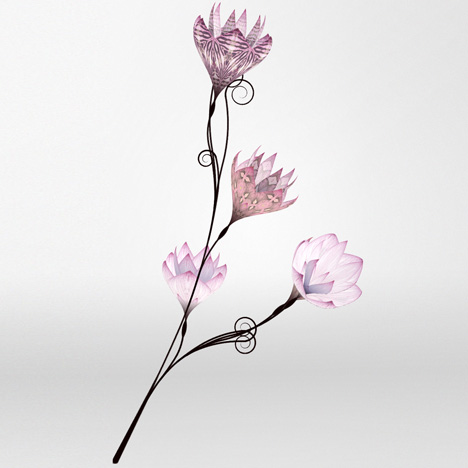 Love Blossoms by Danny Brown for Mulberry