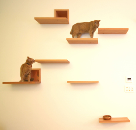 The Cat House by Key Operation The Cat House by Key Operation