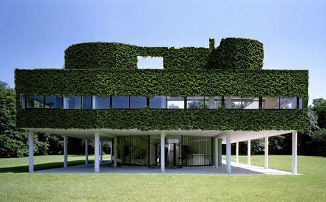 O'Mighty Green by STAR Strategies + Architecture