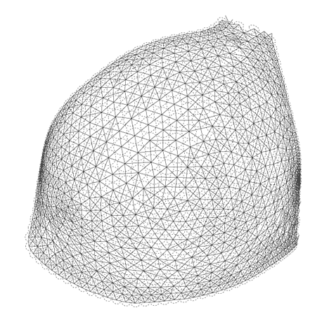 N12 3D-printed bikini by Continuum Fashion and Shapeways N12 3D-printed bikini by Continuum Fashion and Shapeways
