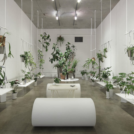 Steor Spring Collection by Minorpoet