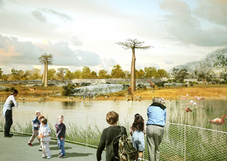 Zoological Park of Saint-Petersburg by TN Plus and Beckmann N’Thépé Zoological Park of Saint-Petersburg by TN Plus and Beckmann N’Thépé