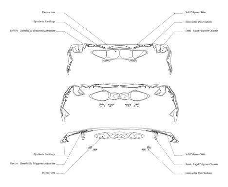 Semi-Rigid Car by Emergent