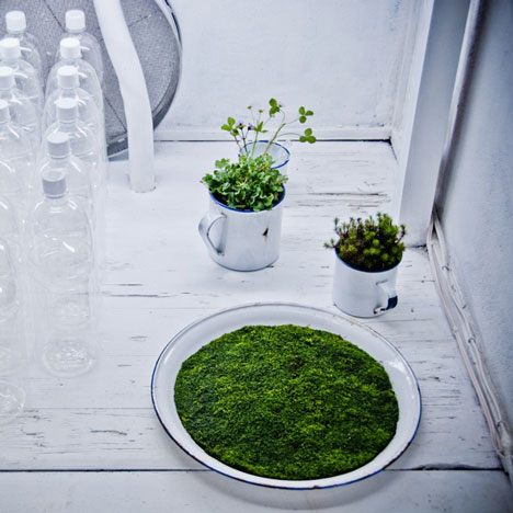 On-iku by Earthscape On-iku by Earthscape