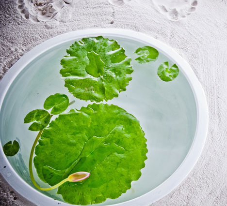 On-iku by Earthscape On-iku by Earthscape