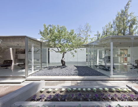 Spa Atrapa Árbol by LAND Arquitectos