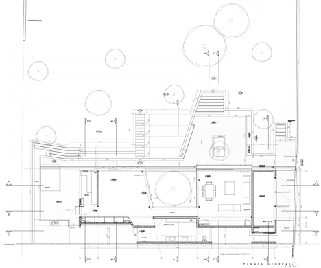 Spa Atrapa Árbol by LAND Arquitectos