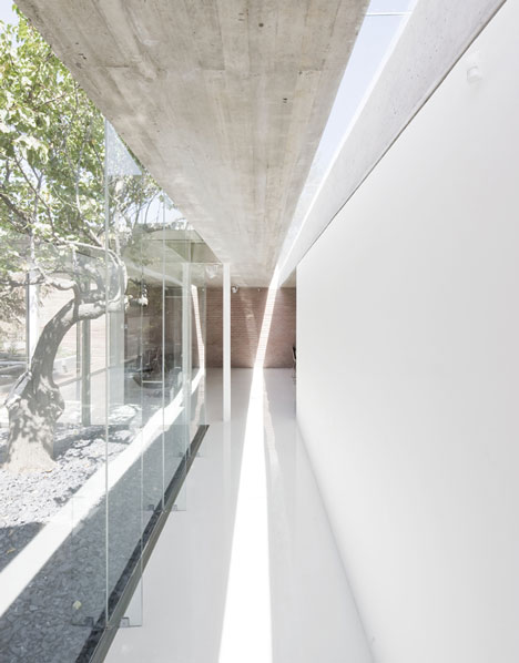 Spa Atrapa Árbol by LAND Arquitectos