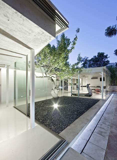 Spa Atrapa Árbol by LAND Arquitectos