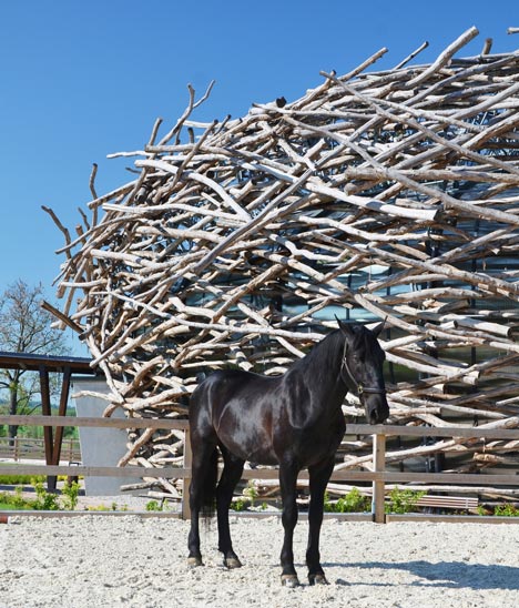 Stork Nest Farm by SGL Projekt Stork Nest Farm by SGL Projekt