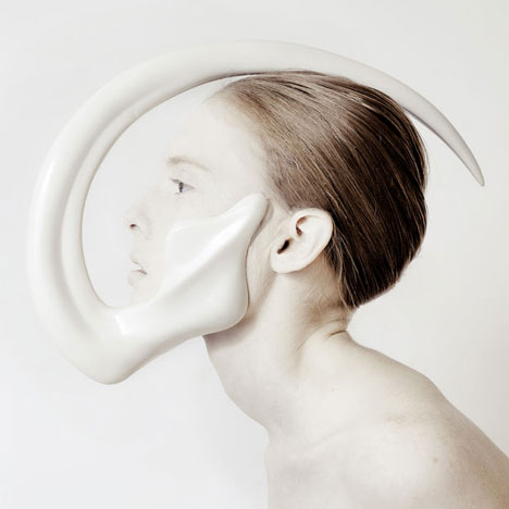 Animal: The Other Side of Evolution by Ana Rajcevic