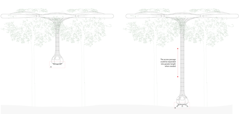 Explorative Canopy Trail by Yvonne Weng Explorative Canopy Trail by Yvonne Weng