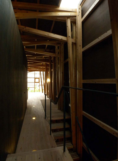House of Cedar by Suga Atelier