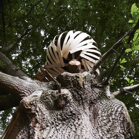 Dartmoor Treehouse by Jerry Tate Architects Dartmoor Treehouse by Jerry Tate Architects