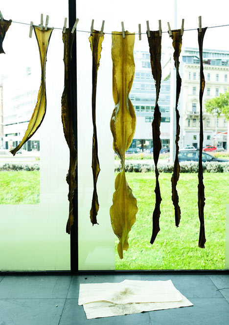 Kelp hats and lampshades by Julia Lohmann Kelp lampshades by Julia Lohmann