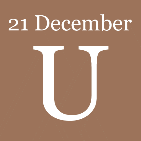 U-House by Jorge Graca Costa 