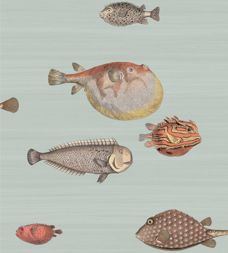 Fornasetti II Collection for Cole & Son