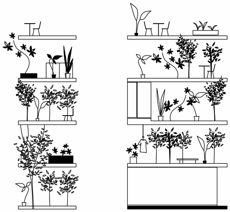 Garden and House by Ryue Nishizawa