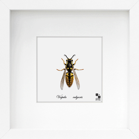 Taxi-Dermy Lenticular Prints by Joe Jin Taxi-Dermy Lenticular Prints by Joe Jin