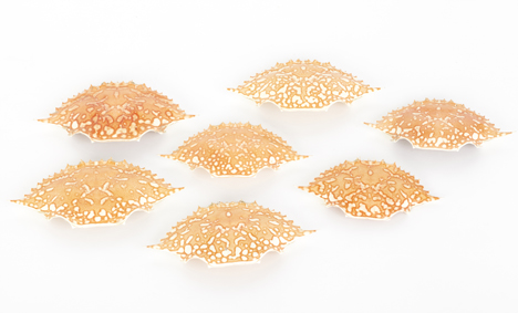 BioElectric plastic made of chitin from crab shells by Jeongwon Ji