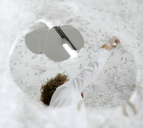 Silk pavilion completed by MIT researchers