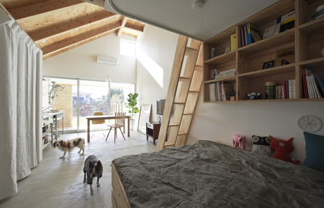 dezeen_Dogsalon by Horibe Associates_14