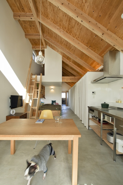 dezeen_Dogsalon by Horibe Associates_16
