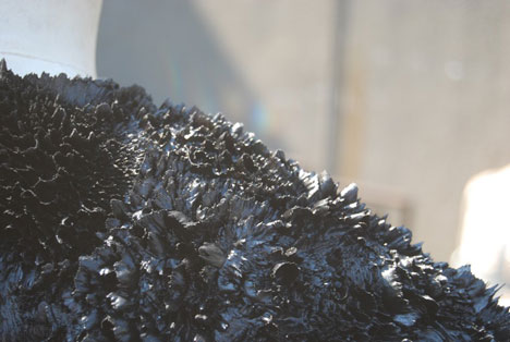 Magnetic grown dresses by Iris van Herpen and Jolan van der Wiel