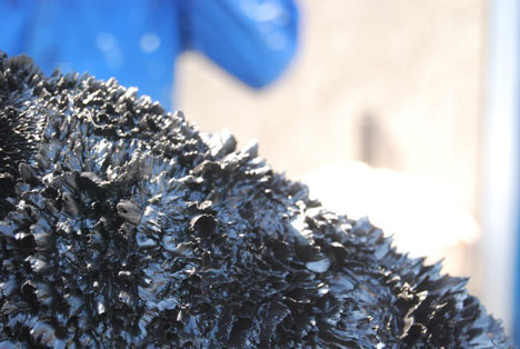Magnetic grown dresses by Iris van Herpen and Jolan van der Wiel