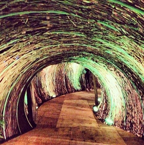 Rattan Tunnel at Bacanalia