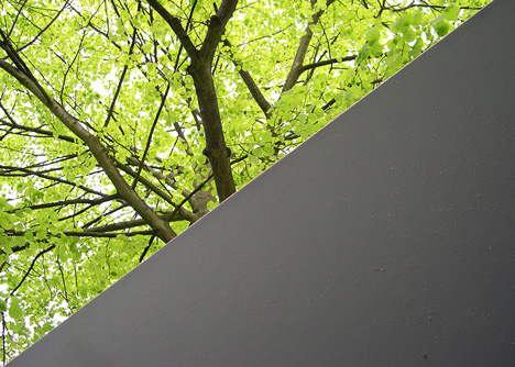 Easehouse for Singeldingen Foundation by Lagado Architects