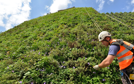 London's largest living wall designed to reduce urban flooding.
