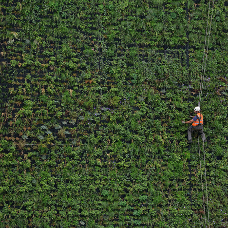 London's largest living wall designed to reduce urban flooding.