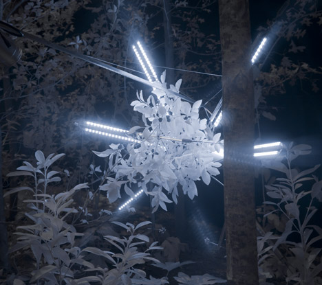 And Nowhere a Shadow by Cohen Van Balen at Future Perfect