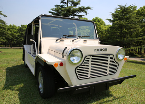 Moke by Michael Young