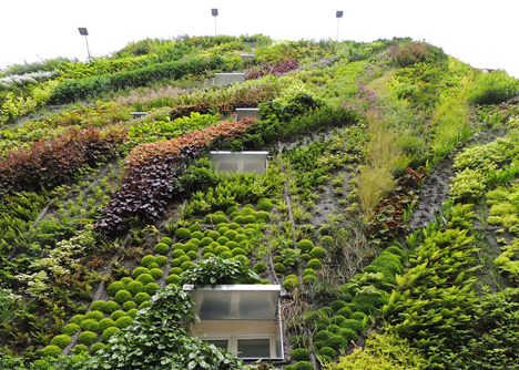 The Oasis of Aboukir by Patrick White for Paris Design Week