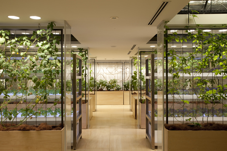 Pasona Urban Farm