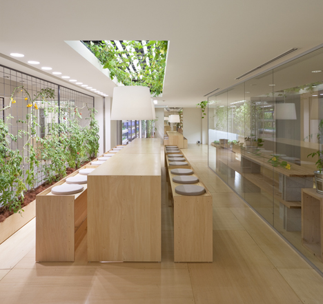 Pasona Urban Farm