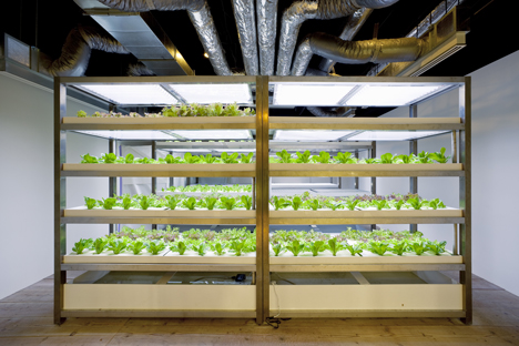 Pasona Urban Farm