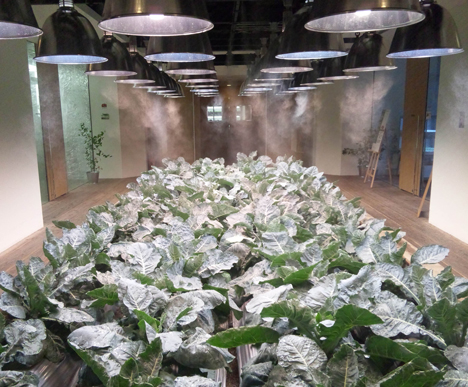 Pasona Urban Farm